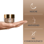 crema-facial-yf-elasticity-noche-4005900324023.