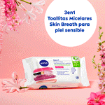 TOALLITAS-DESMAQUILLANTES-4005900985811.