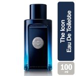 the-icon-100ml-hombre