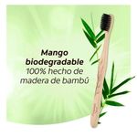 cepillo-bamboo.6jpg.jpg