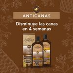 shampoo-anti-canas-tio-nacho-7798140257851-2.jpg