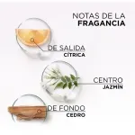 201410-1200-auto.webp