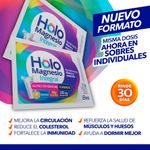 holomgan2