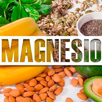 Magnesio: mineral esencial para músculos y salud 🥦💪